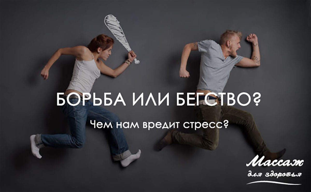 Борьба или бегство? Чем нам вредит стресс?