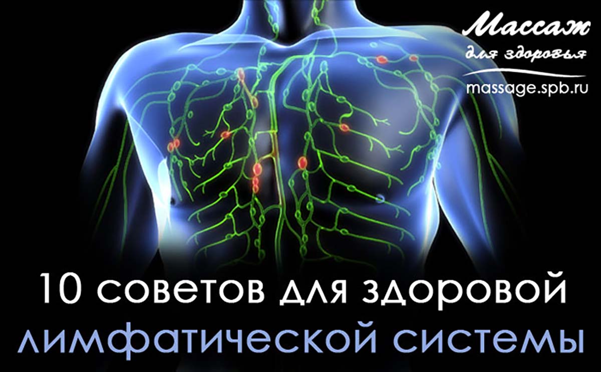Здоровая лимфатическая система